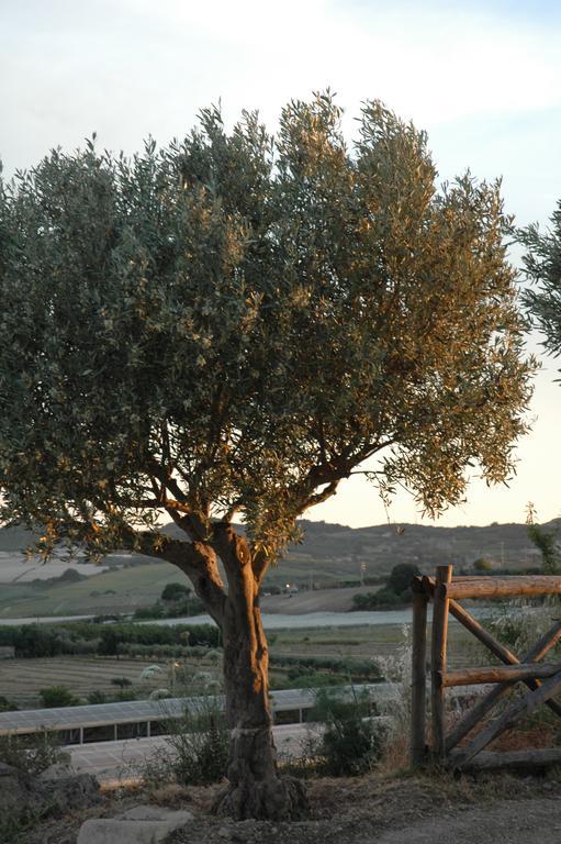 Agriturismo Baglio San Nicola *